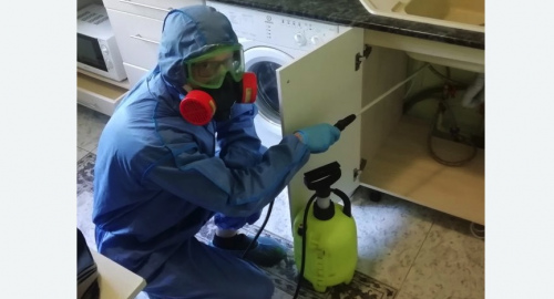 Уничтожение муравьев в квартире. Каспийск