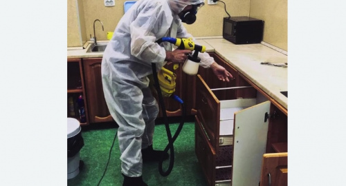 Уничтожение насекомых в квартире. Каспийск