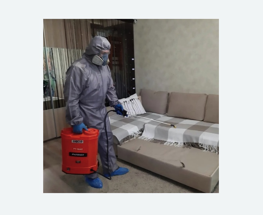 Обработка квартиры от блох в Каспийске Обработка квартиры от блох