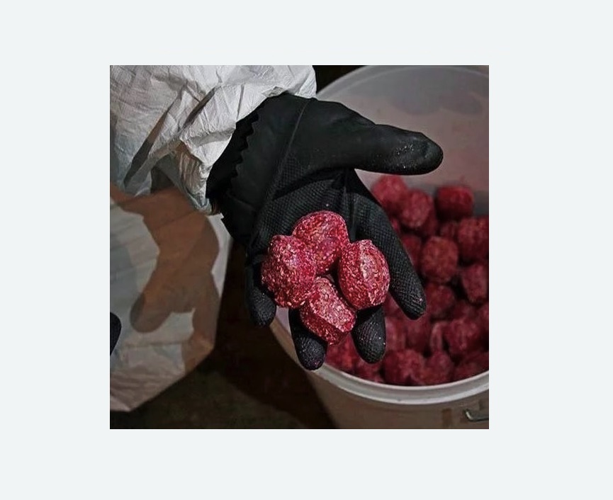 Обработка от крыс в Каспийске