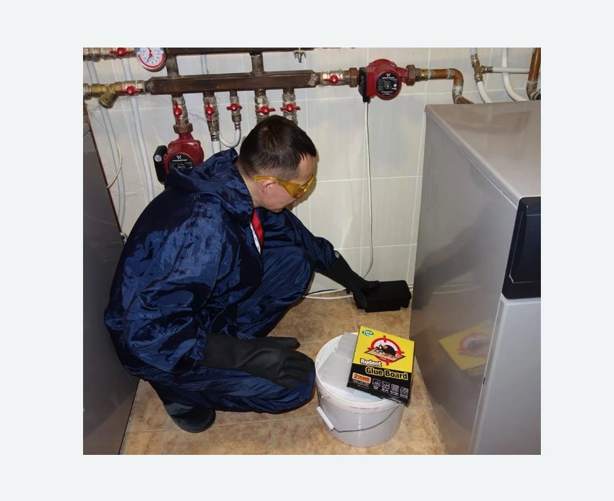 Уничтожение крыс в Каспийске