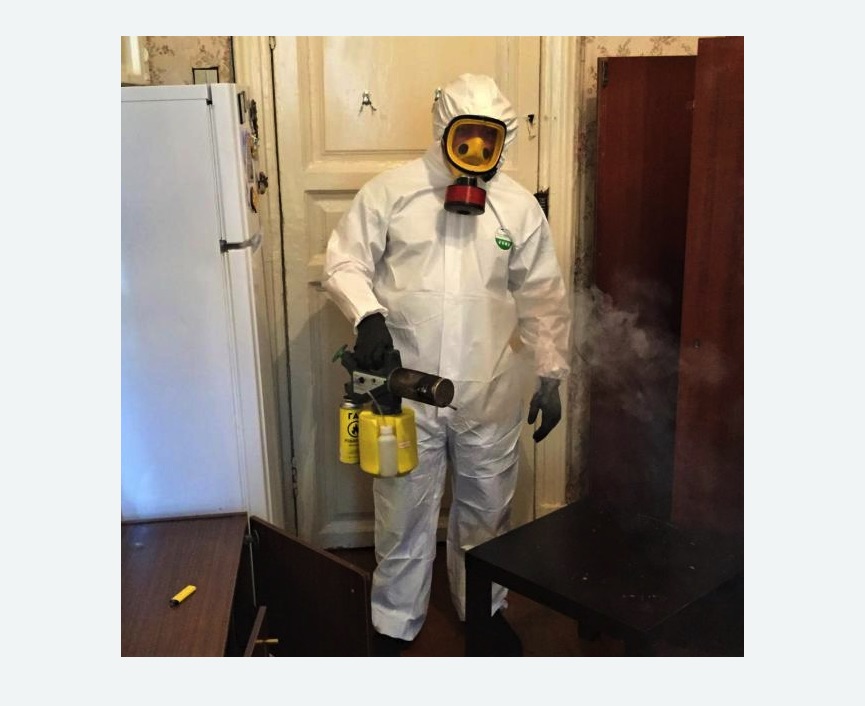 уничтожение муравьев в квартире уничтожение муравьев в квартире в Каспийске